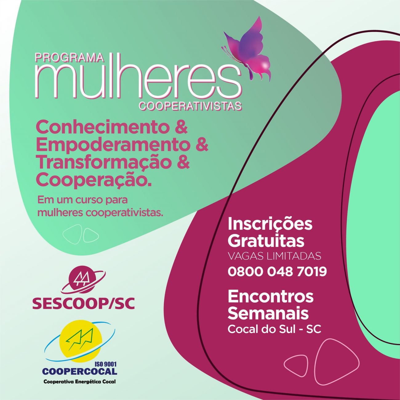 Coopercocal Implanta Programa Mulheres Cooperativistas Cocal 360