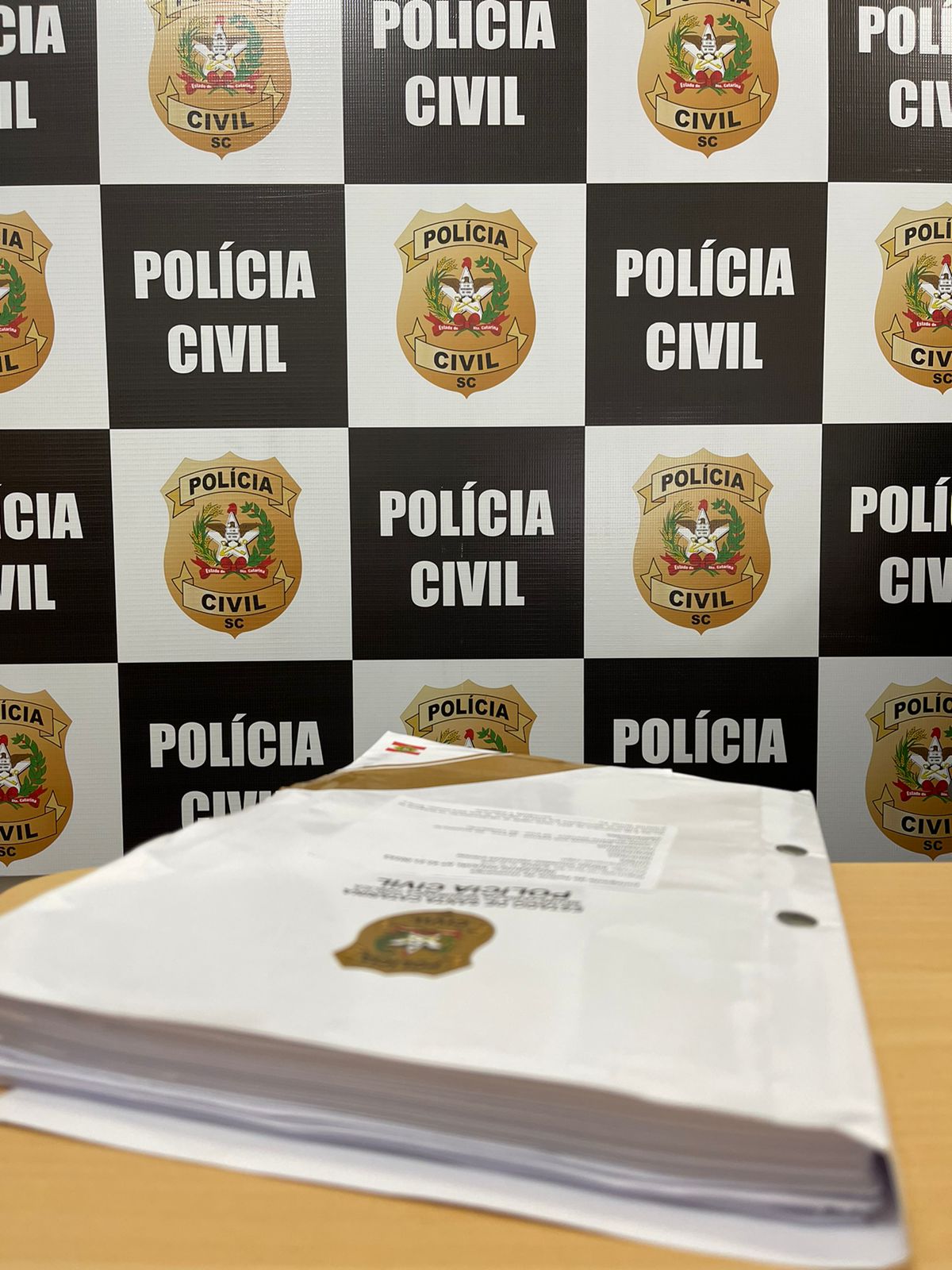 policia civil conclui o sexto inquerito da operacao hera whatsapp image 2022 02 09 at 10.24.41