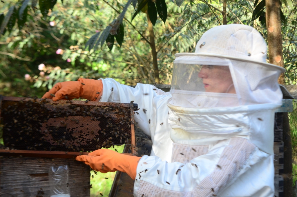 agricultura catarinense tera politica estadual de desenvolvimento e expansao da apicultura e meliponicultura e 4