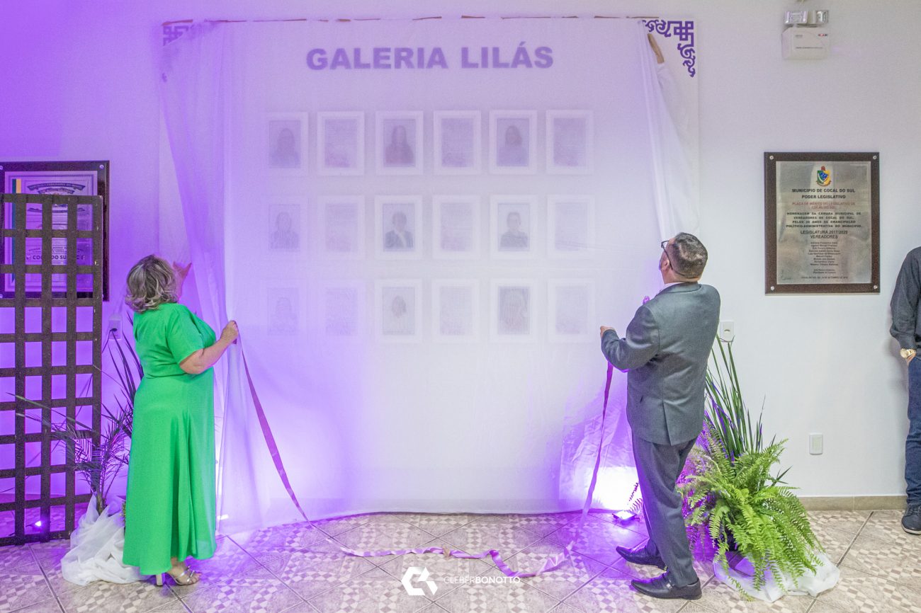 galeria lilas sessao solene homenageara nove mulheres sul cocalenses no dia 27 de marco galeria lilas arquivo 2023