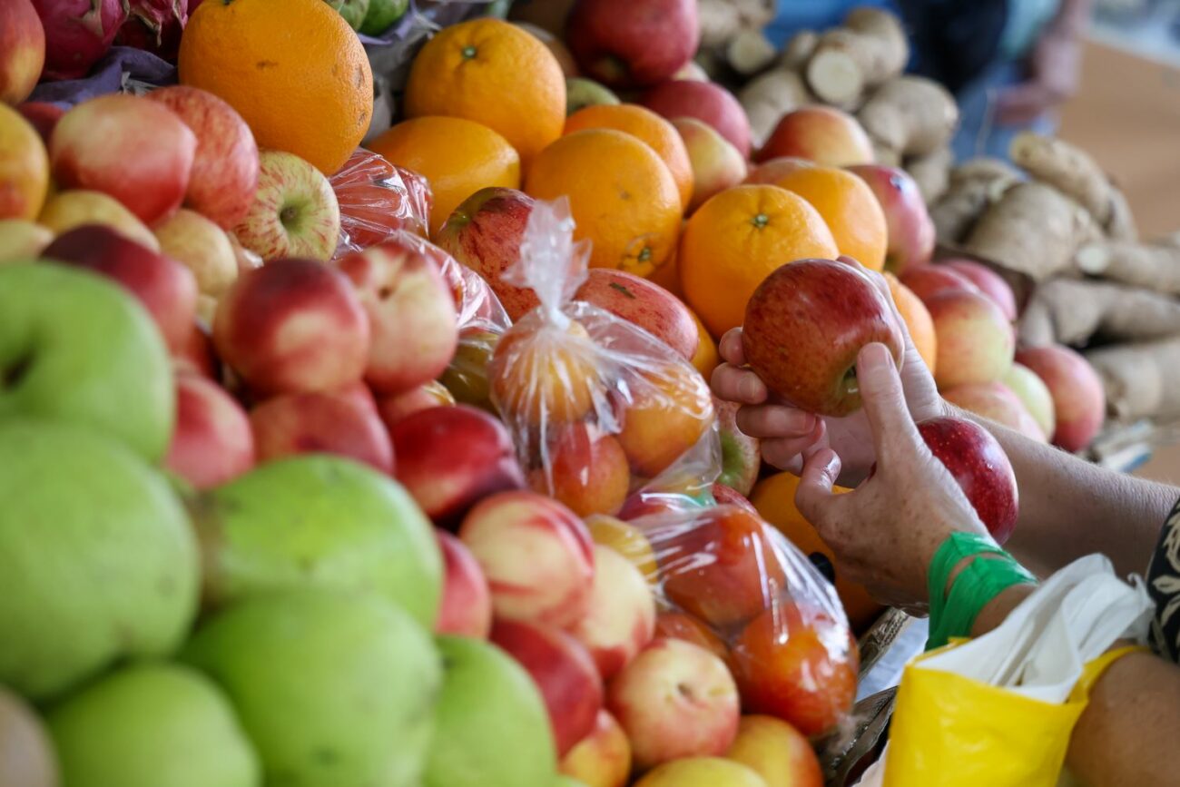 santa catarina e o estado com maior seguranca alimentar e menor desigualdade de renda do brasil rtr 3684