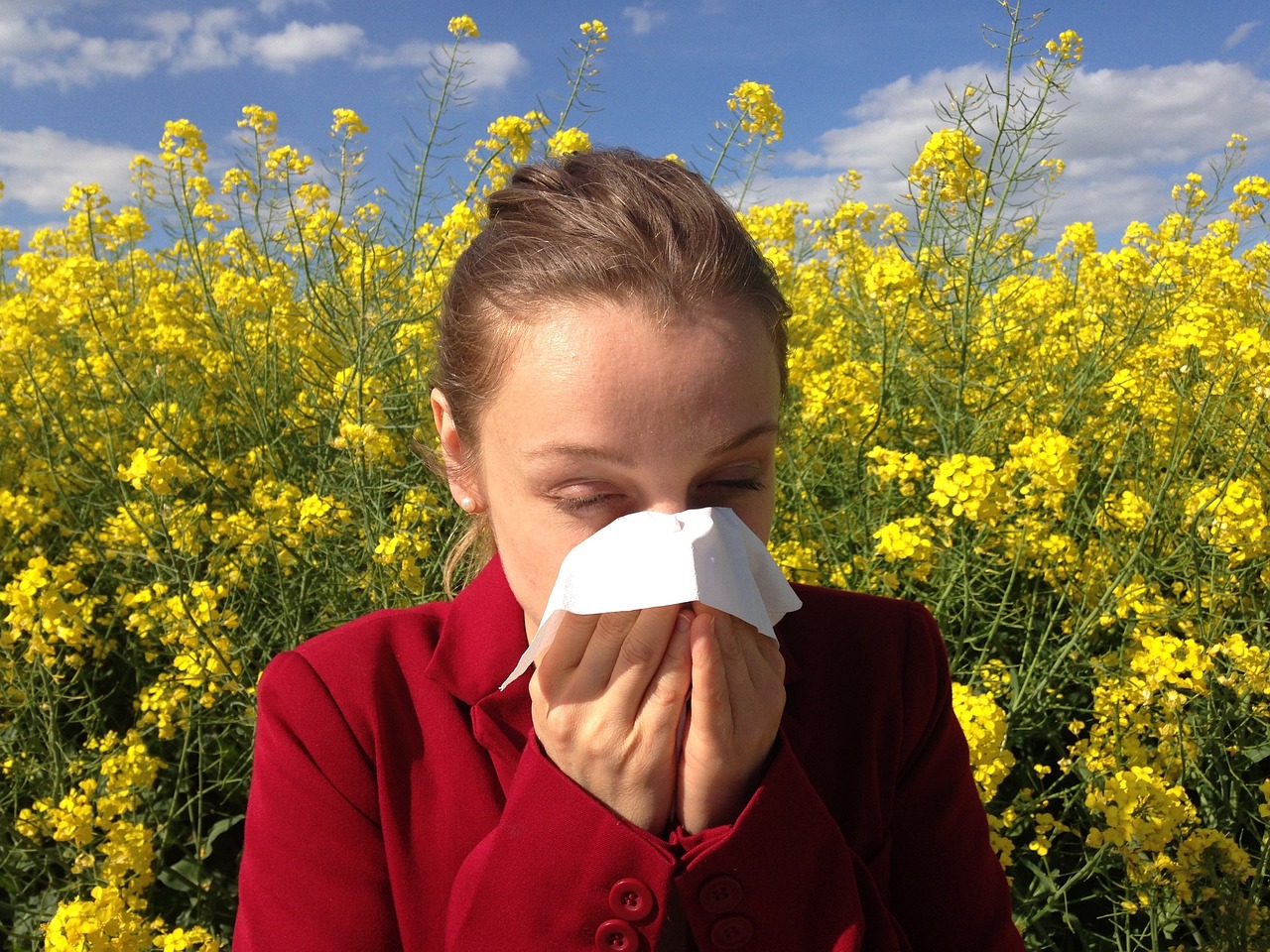 rinite e asma lideram ranking de doencas respiratorias dos brasileiros como saber a diferenca entre as duas allergy 1738191 1280