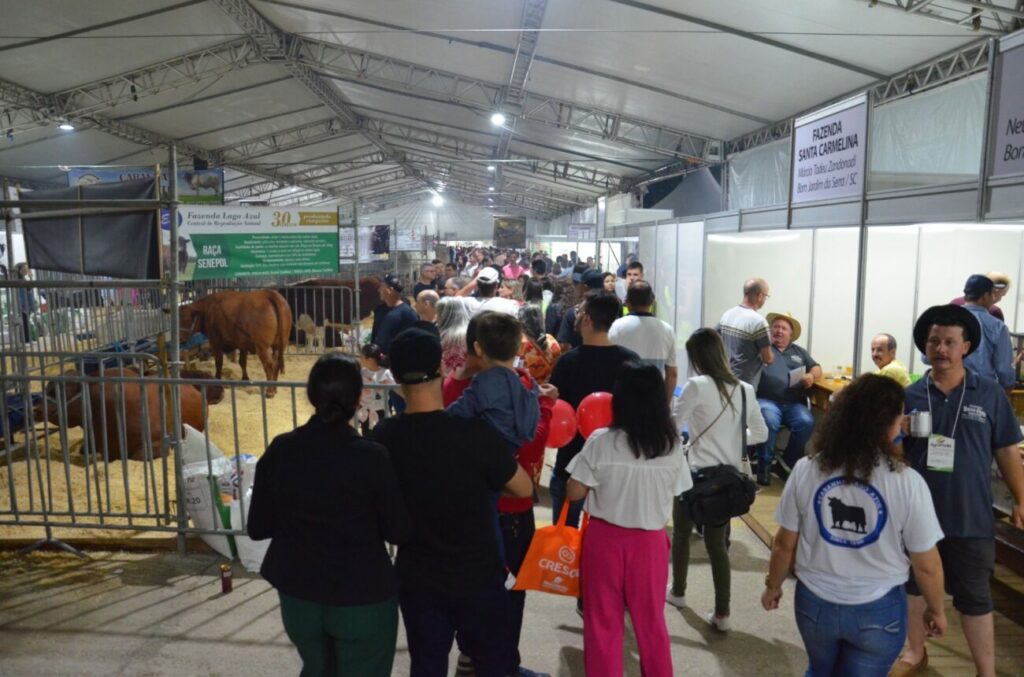 de bovinos a abelhas sem ferrao agroponte expoe animais e conecta o campo a cidade whatsapp image 2024 08 08 at 15.34.24