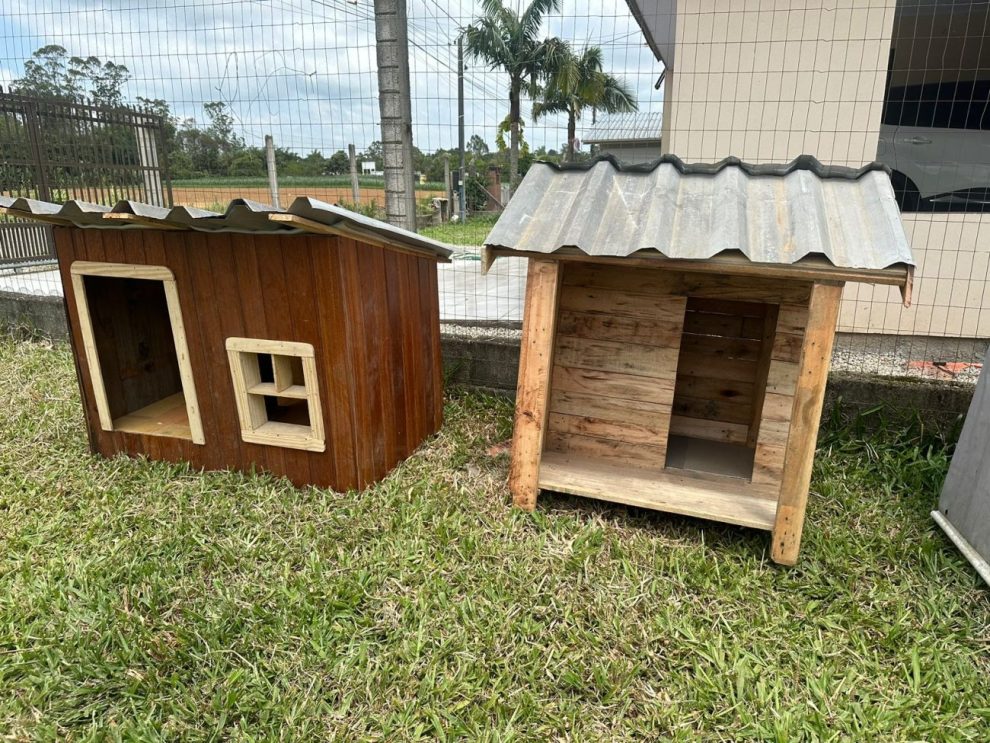 casinhas para caes de rua serao fabricadas por detentos da penitenciaria sul whatsapp image 2024 11 05 at 18.45.13