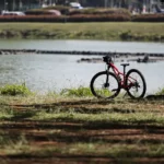 campanha janeiro branco estimula o bem estar emocional calor ibirapuera 09 0