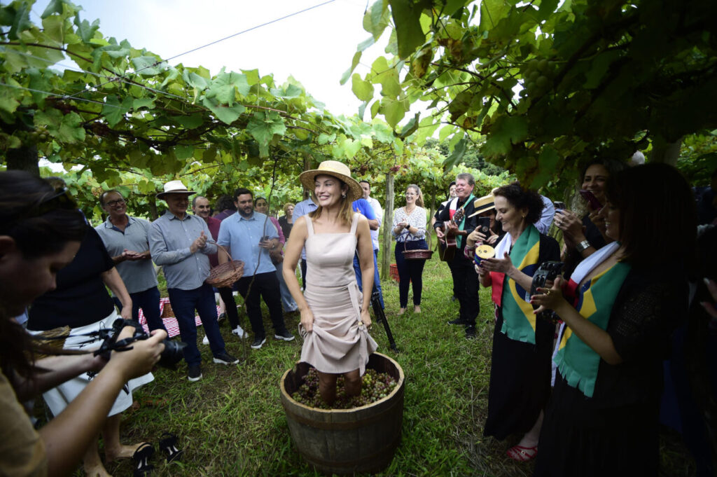 vindima goethe 2025 colheita simbolica da inicio a celebracao de um produto unico do sul de sc secretaria catiane seif